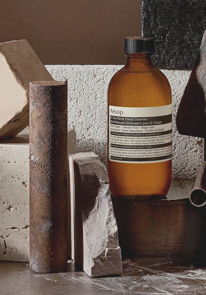 ��������� ��� ����� �� ��������������� ����� � ����� ��������� Aesop